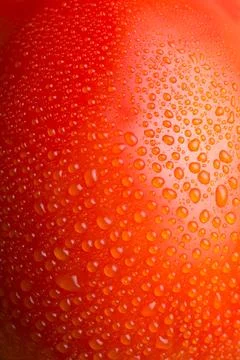 Abstract of tomato surface with dew, macro Stock Photos