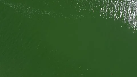 Abstract Top Down Drone View of Green Lake Water with Natural Ripples Stock Footage 345101092
