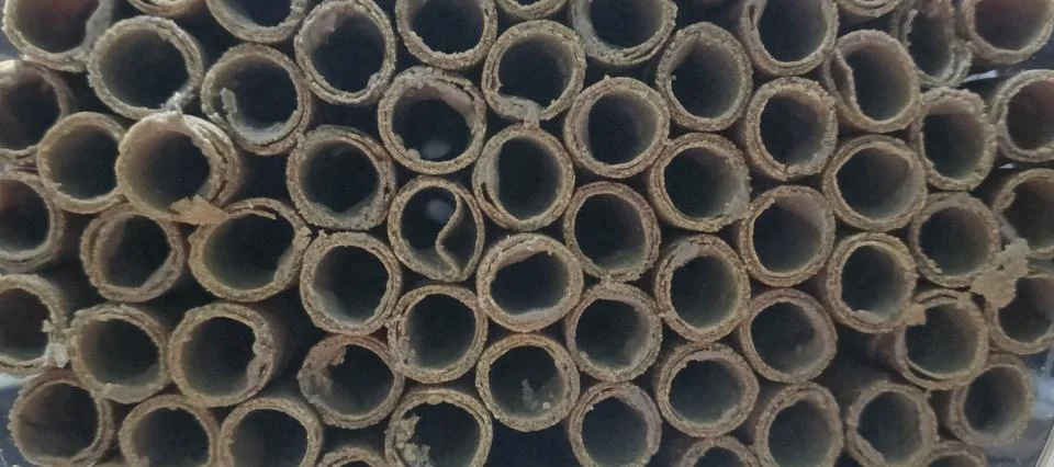 Abstract top-down view of rolled wafer sticks. Stock Photos