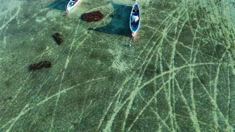 Abstract Top Down View of Scratched Patterns on a Green Lakebed Stock Footage 319344935