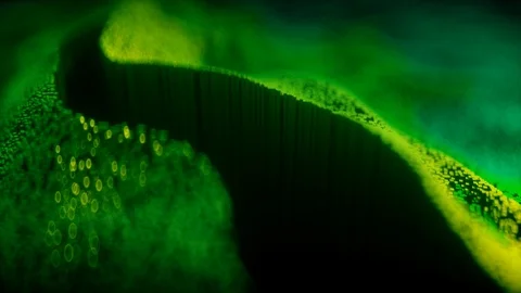 Abstract topographic landscape, full HD Stock Footage 94084337