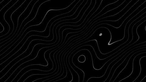 Abstract topographic lines background on black a visual representation Stock Footage 333045221