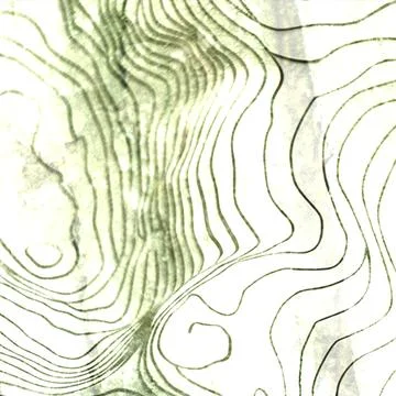 Abstract topographic map background with flowing green contour lines creating Stock Illustration