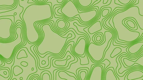 Abstract Topographic Map Contour Lines Green Seamless Vector Pattern Stock Footage 317103256