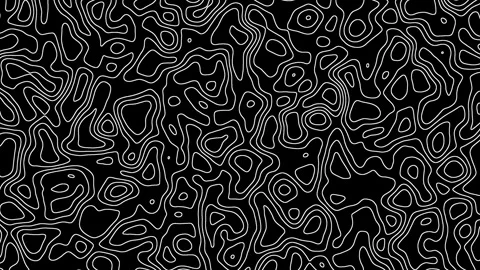 Abstract topographic map. White lines on a black background. Stock Footage 246408395