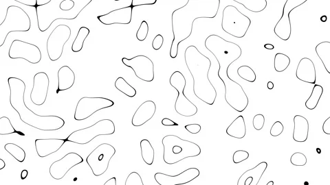 Abstract topography white stripes background motion loop footage video with geo Stock Footage 340576098