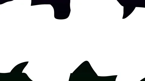 Abstract torn paper strips moving across a black and white background with .. Video stock 342514896