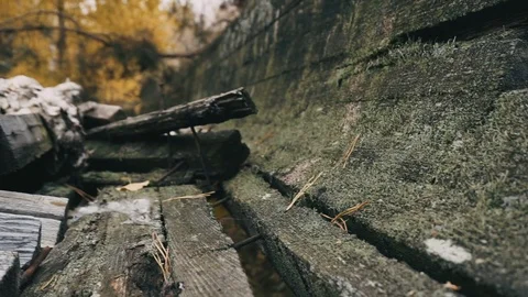 Abstract tracking shot of moss covered wooden boards. Stock Footage 97792157