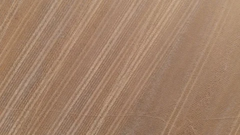 Abstract Tracks And Lines In Big Stubble Field Spring Bird's Eye View 4K Cine D Stock Footage 107053031