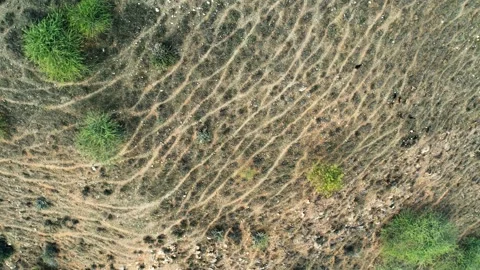 Abstract Trail Patterns Formed on Dry Hill Terrain in India Stock Footage 328022502