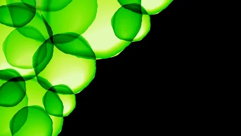 Abstract transparent Chlorophyll cell overlap moving pattern, nature concept Video stock 94097172