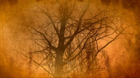 Abstract tree animation background Stock Footage 11013005