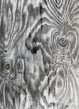 Abstract tree background Foto stock