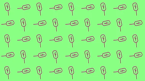 Abstract tree banding pattern. Minimal concept animation. Stock Footage 169913363