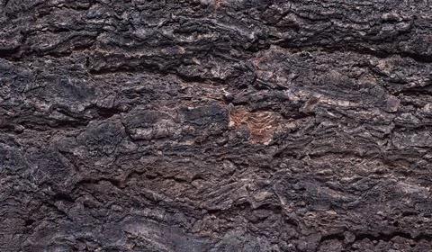 Abstract tree bark texture Stock Photos