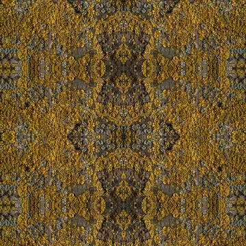 Abstract tree bark texture Stock Photos