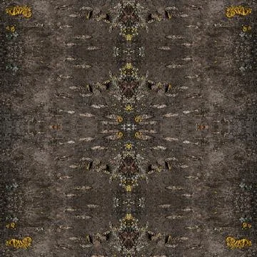 Abstract tree bark texture Stock Photos