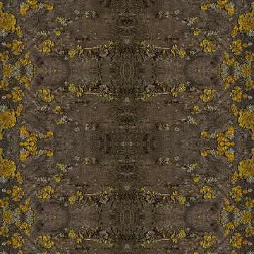 Abstract tree bark texture Stock Photos