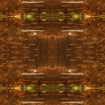 Abstract tree bark texture Stock Photos