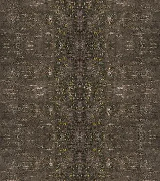 Abstract tree bark texture Stock Photos