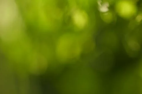 Abstract Tree BLur Foto stock