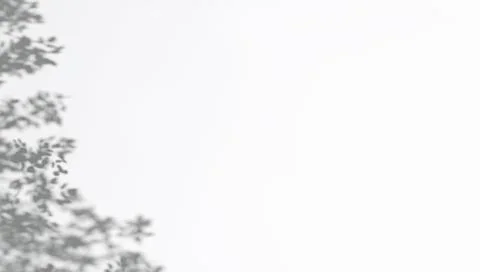 Abstract tree branches corner shadow on wind background Illustrazione stock