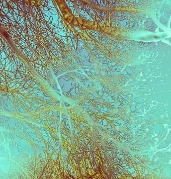 Abstract Tree Branches – Cyan-Turquoise Version Stock Photos