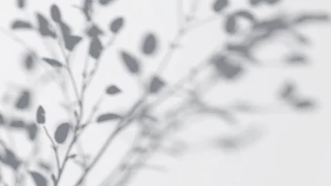 Abstract tree branches shadow on wind background Illustrazione stock