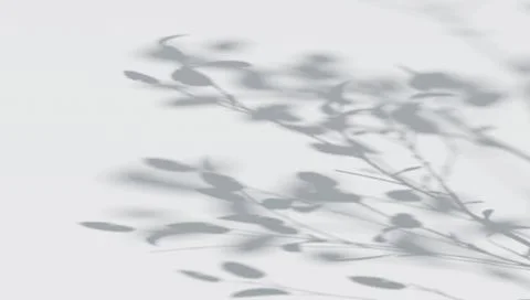 Abstract tree branches shadow on wind background Illustrazione stock