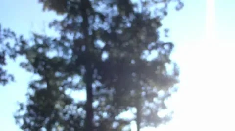 Abstract tree Stock Footage 8988369