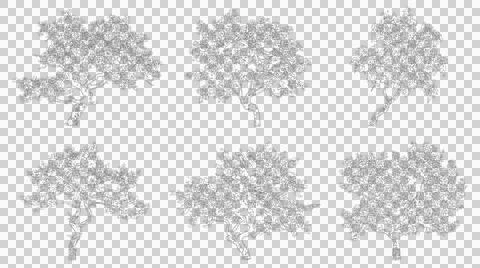Abstract tree form line art elevation view isolated transparent background Stock Illustration