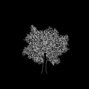 Abstract tree. Isolated on black background. Sketch illustration. 스톡 일러스트