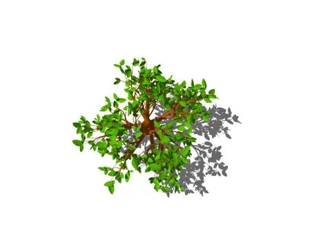 Abstract tree. Isolated on white background. Top view. Illustrazione stock