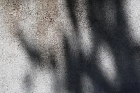 Abstract tree leaf shadows cast on a textured grey concrete wall background 写真素材