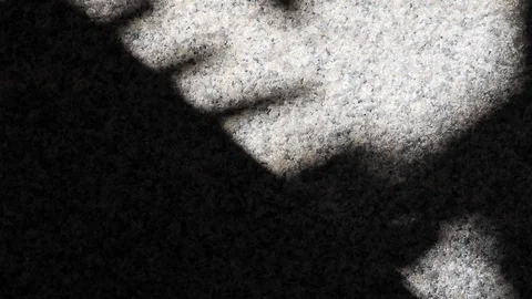 Abstract tree leaf shadows reflected on granite floor wall Stock Footage 126054202