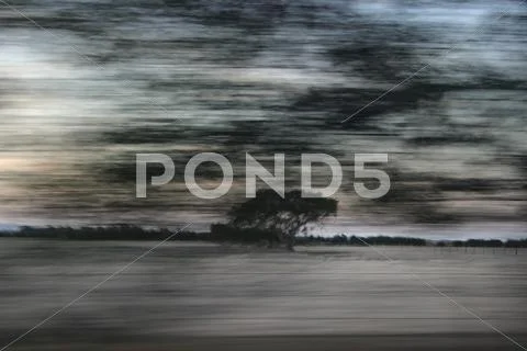 Abstract Tree Photo Stock Photos