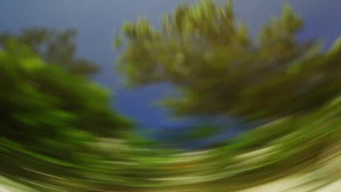 Abstract Tree Reflection in Orb Windy Day, Slow Motion Stock Footage 346245642