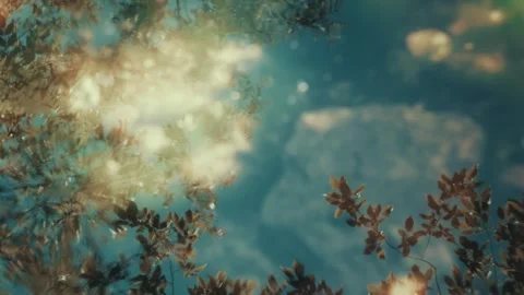 Abstract tree reflection in water, vintage film aesthetic, autumn leaves 库存影片 335324978