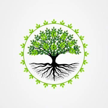 Abstract tree with roots and green leaves. tree with round shape vector illus Stock Illustration