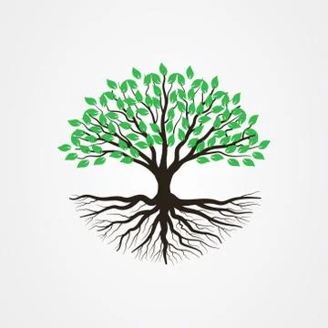 Abstract tree with roots and green leaves. Illustrazione stock