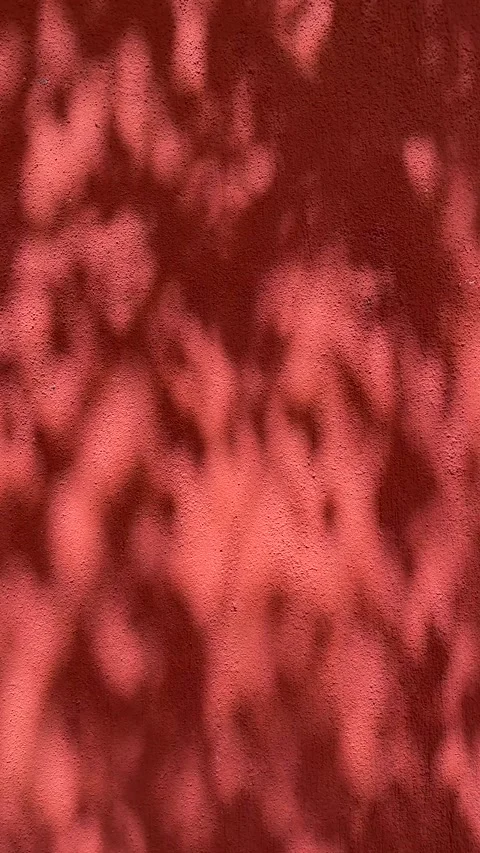 Abstract Tree Shadow Patterns Moving on Red Textured Wall Surface in Sunlight Stock Footage 334673106