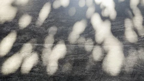 Abstract Tree Shadows on Grey Floor with Summer Brutalism Aesthetic Stock Footage 346739621