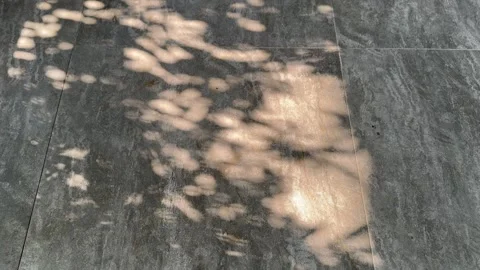 Abstract Tree Shadows on Speckled Grey Textured Floor Stock Footage 346739628