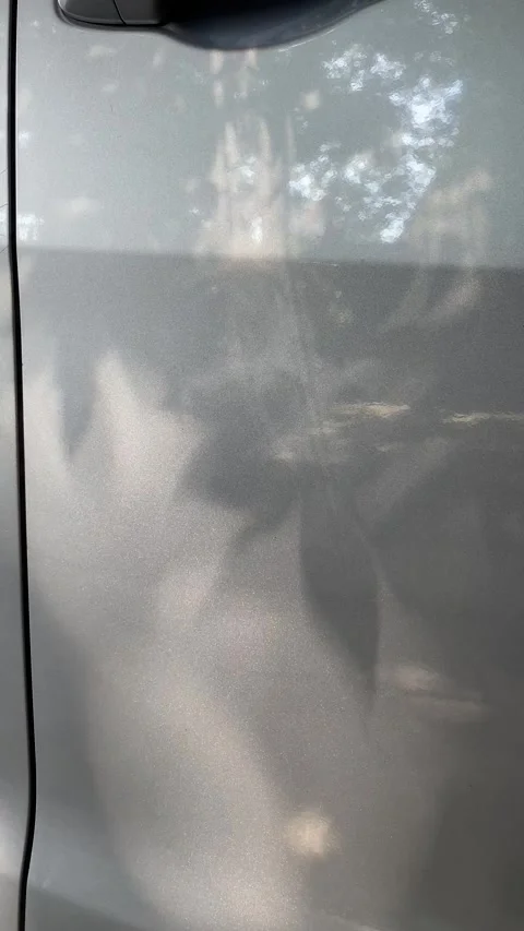 Abstract tree shadows on wall Stock Footage 302160315