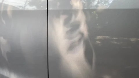 Abstract tree shadows on wall Stock Footage 302160423