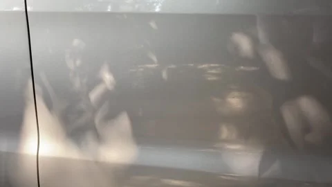 Abstract tree shadows on wall Stock Footage 302160670