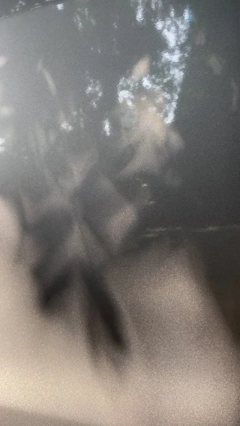 Abstract tree shadows on wall Stock Footage 302160691