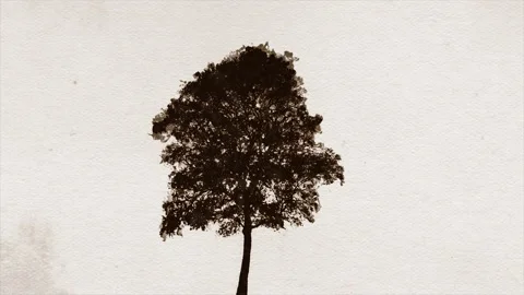 Abstract Tree Silhouette Paint Brushes Animation Stock Footage 141523798