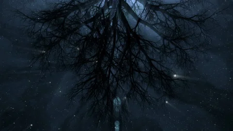 Abstract tree spinning in the moonlight Stock Footage 147105153