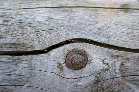 The abstract tree trunk texture pattern 스톡 사진